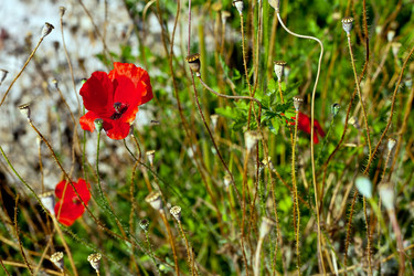 Similar image 787050