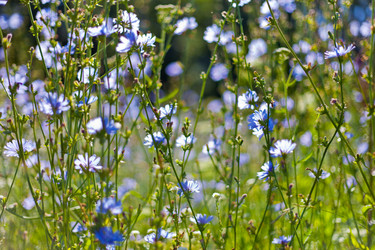 Similar image 787051