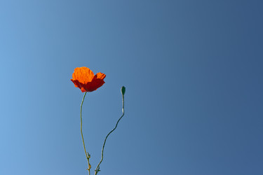 Similar image 787069