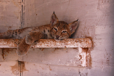 Similar image 787142