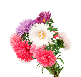 Similar image 787148