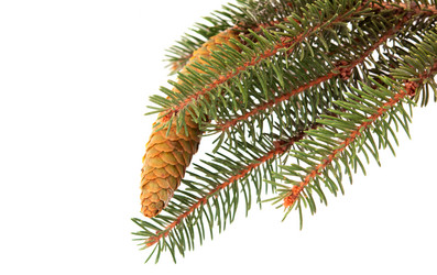 Similar image 787149