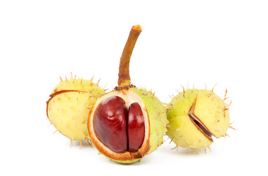 Similar image 787154