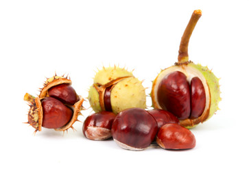 Similar image 787155