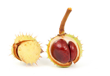 Similar image 787157