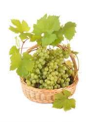 Similar image 787171