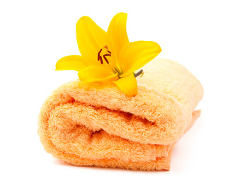 Similar image 787179