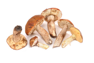 Similar image 787187