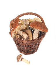 Similar image 787189