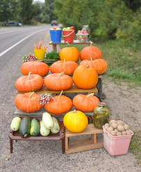 Similar image 787191