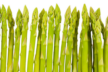 Similar image 787215