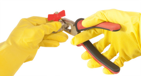 Similar image 787247