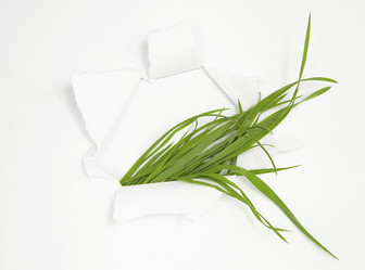 Similar image 787255