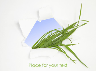 Similar image 787256