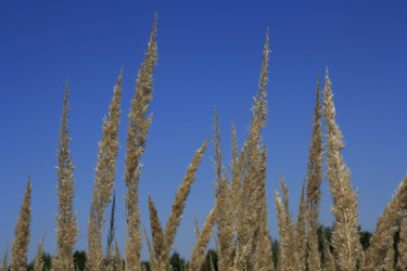 Similar image 787314