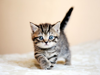 Similar image 787317