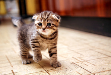 Similar image 787320