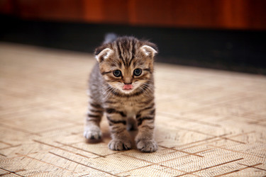 Similar image 787326