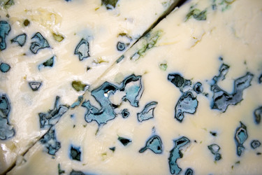 Similar image 787331