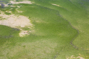 Similar image 787336