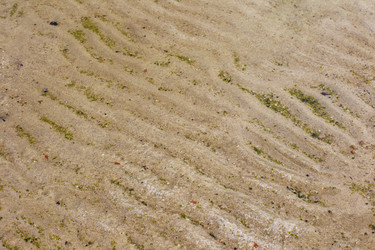 Similar image 787344