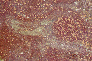 Similar image 787345