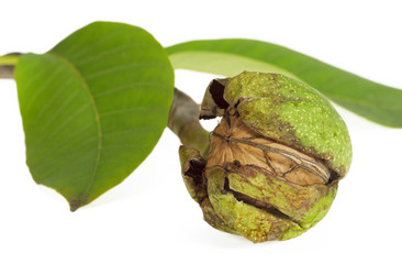 Similar image 787347