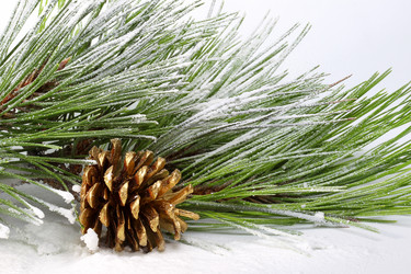 Similar image 787349