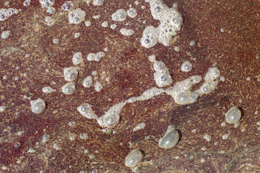 Similar image 787352