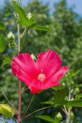 Similar image 787385