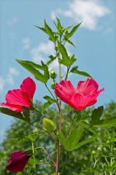 Similar image 787386