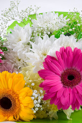 Similar image 787387