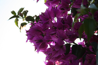 Similar image 787398