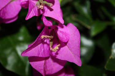 Similar image 787400