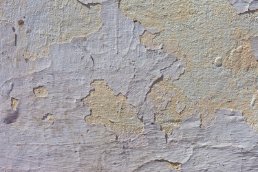 Similar image 787406