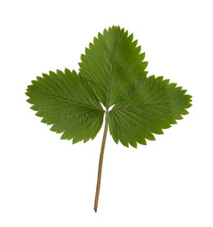 Similar image 787471