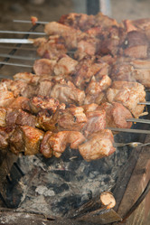 Similar image 787492