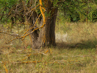 Similar image 787514