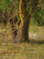 Similar image 787515