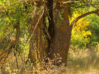 Similar image 787517