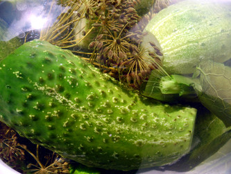 Similar image 787535