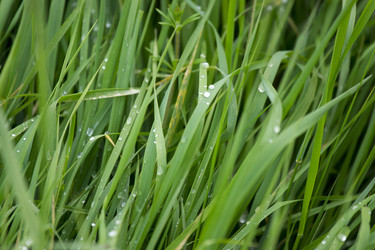 Similar image 787560