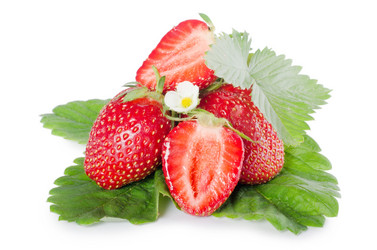 Similar image 787561