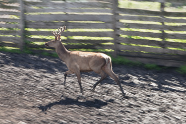 Similar image 787586