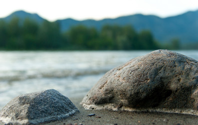 Similar image 787623