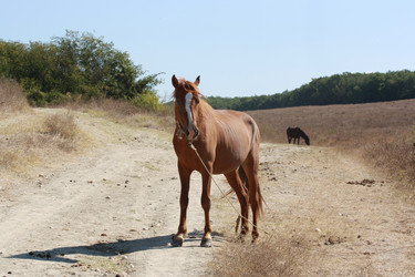 Similar image 787661