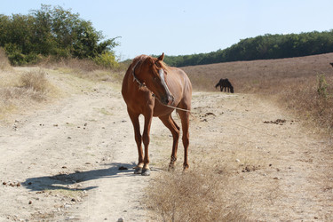 Similar image 787663