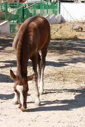 Similar image 787666