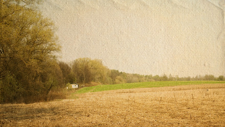 Similar image 787670