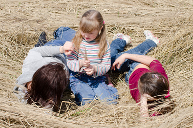 Similar image 787673